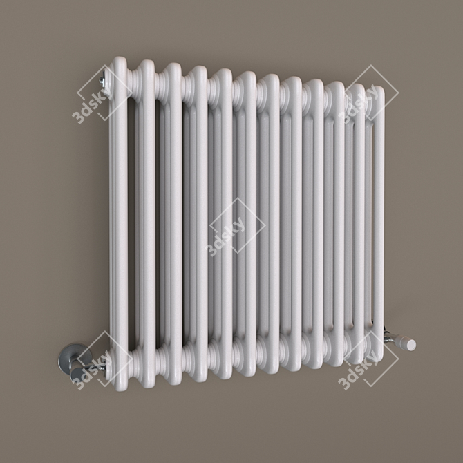 Elegant Cordivari Ardesia Radiator 3D model image 4