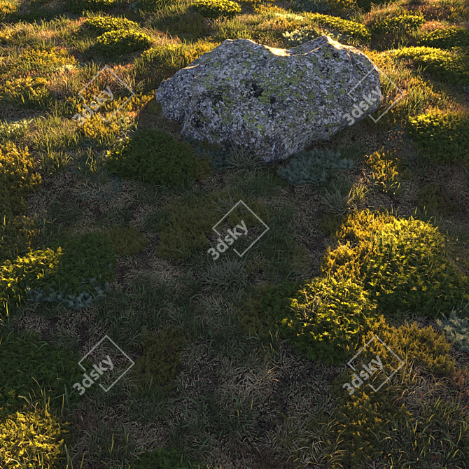 Lush Forest Grass: Realistic 3D Scatter 3D model image 4