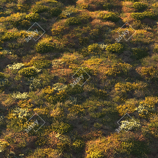 Lush Forest Grass: Realistic 3D Scatter 3D model image 5