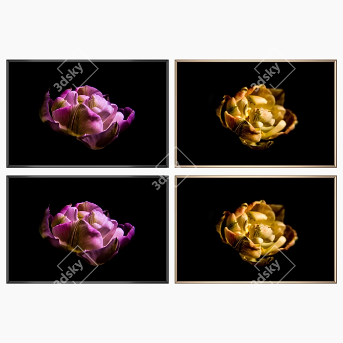 Elegant Framed Wall Art Set 3D model image 2