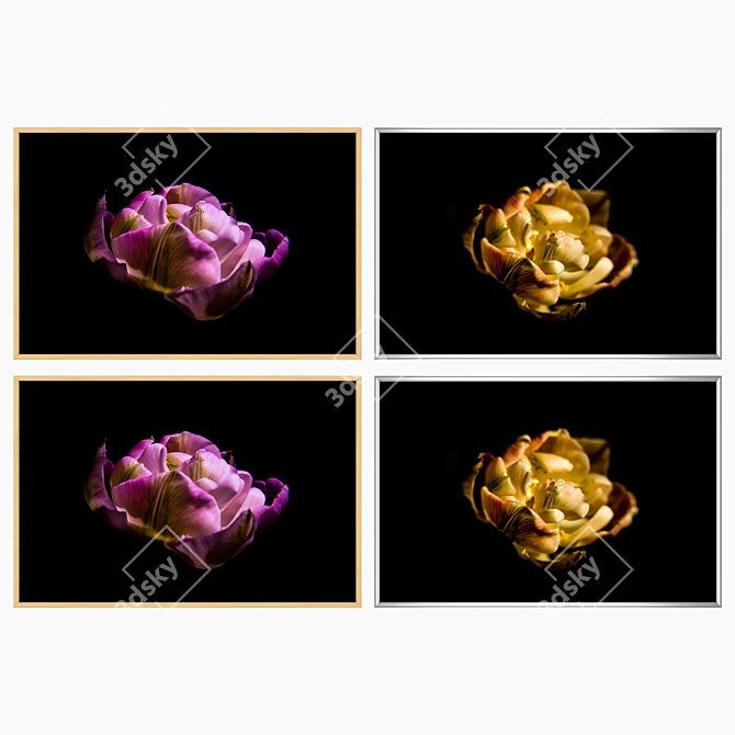 Elegant Framed Wall Art Set 3D model image 3