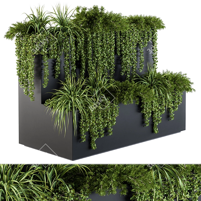 Lush Ivy Collection - Box Set 61 3D model image 1
