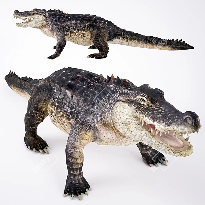 Premium Crocodile 3D Model 3D model image 1