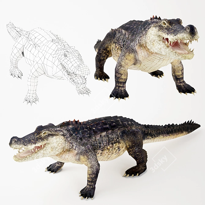 Premium Crocodile 3D Model 3D model image 2