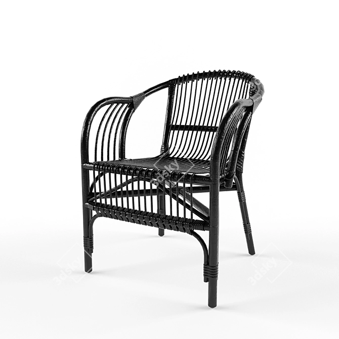 Pari Rattan Chair: Organic Elegance for Your Space 3D model image 3