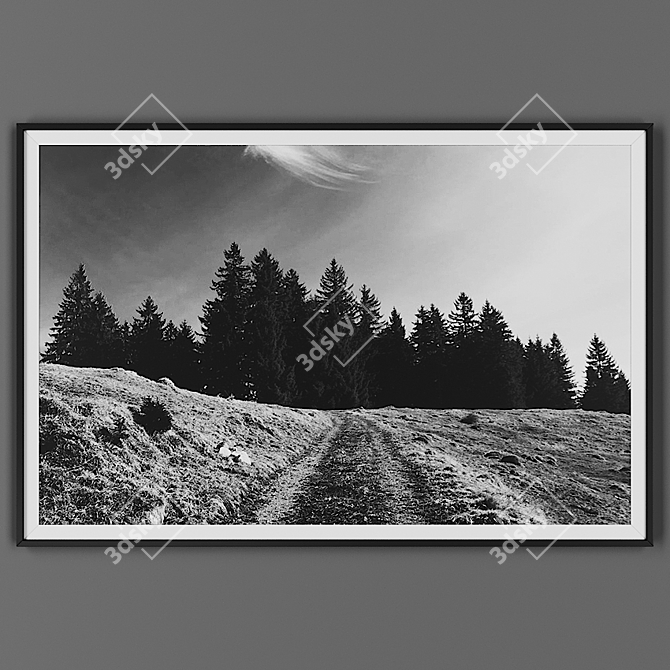 Elegant Black Framed Picture 3D model image 1