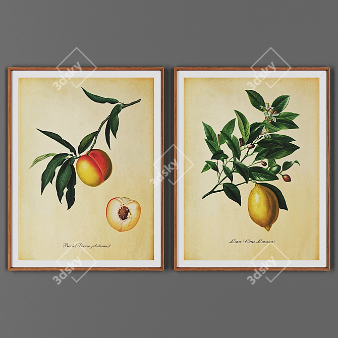 Wooden Frame Picture Set 3D model image 1