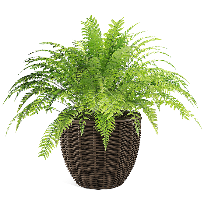 Versatile Plant Collection - High Detail 3D model image 1