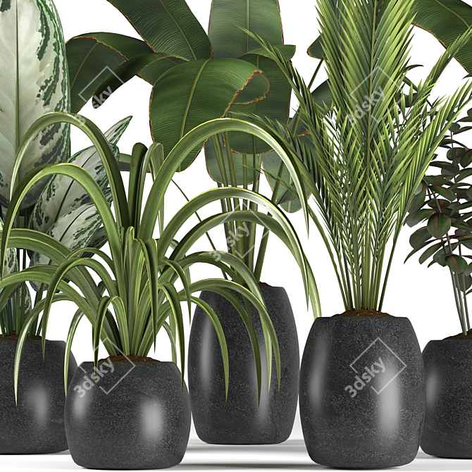 Botanical Bliss: 4 Plant Collection 3D model image 2