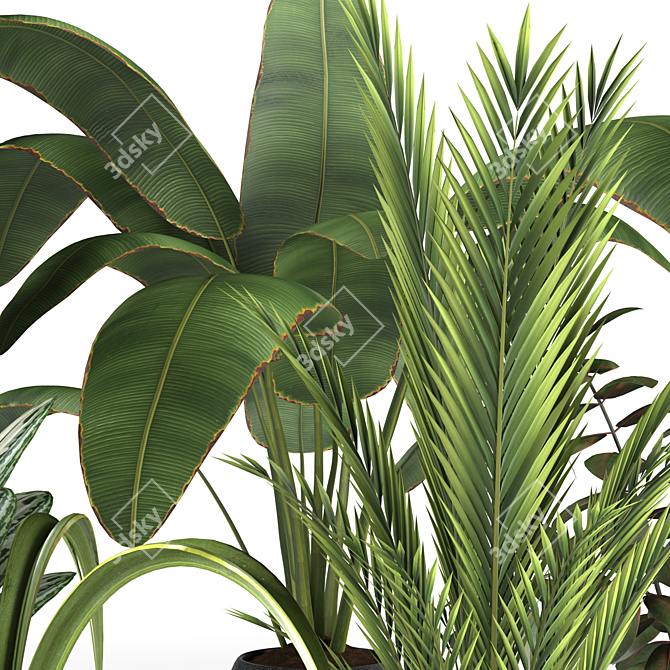 Botanical Bliss: 4 Plant Collection 3D model image 3