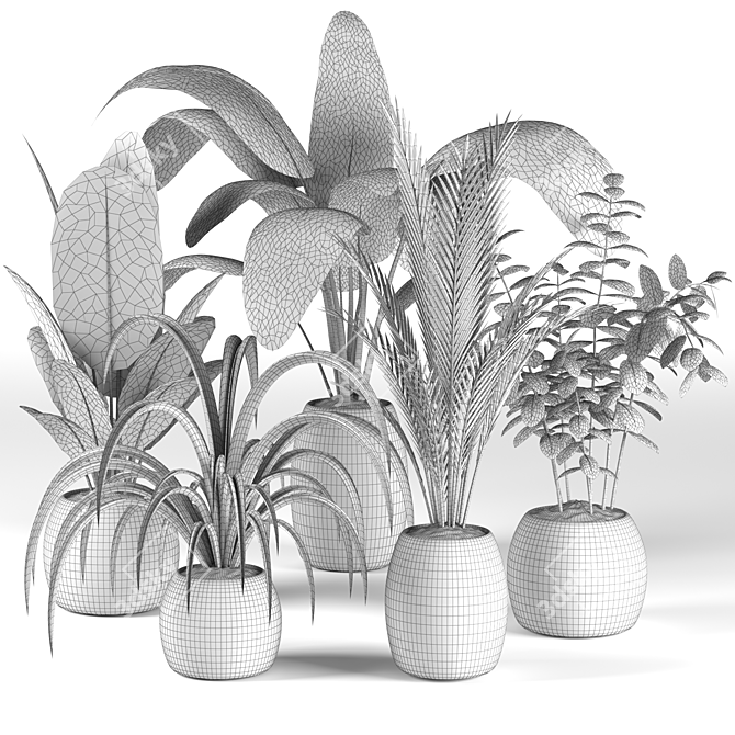 Botanical Bliss: 4 Plant Collection 3D model image 5