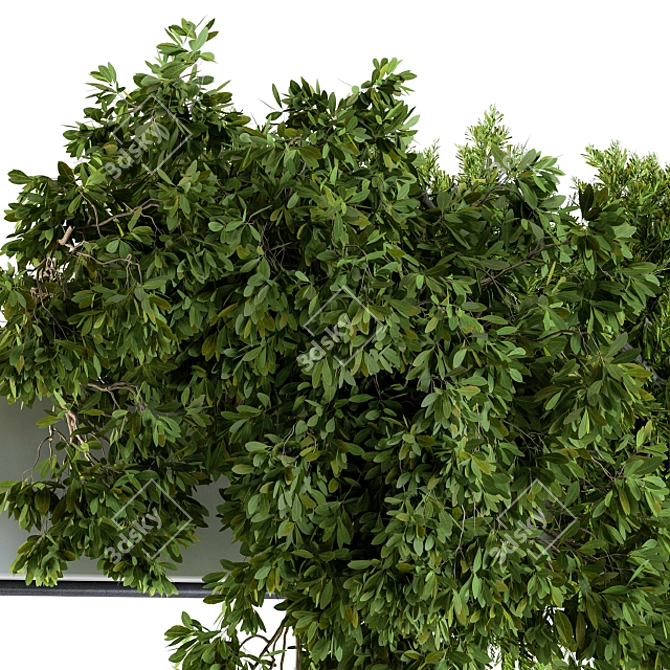 Lush Hanging Box Plants - Set of 70 3D model image 3