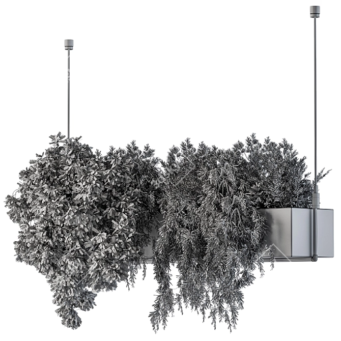 Lush Hanging Box Plants - Set of 70 3D model image 5