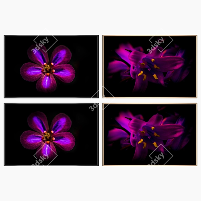 Gallery Collection: Set of 2 Paintings 3D model image 2