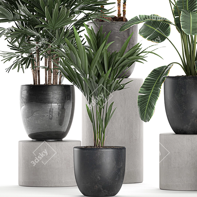 Exotic Plant Collection in Black Vase 3D model image 3