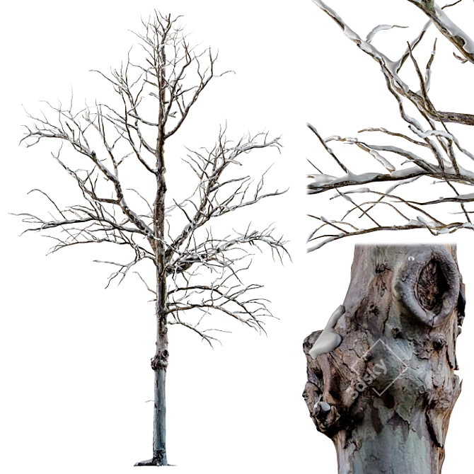 Frozen Beauty - Winter Tree 3D model image 1
