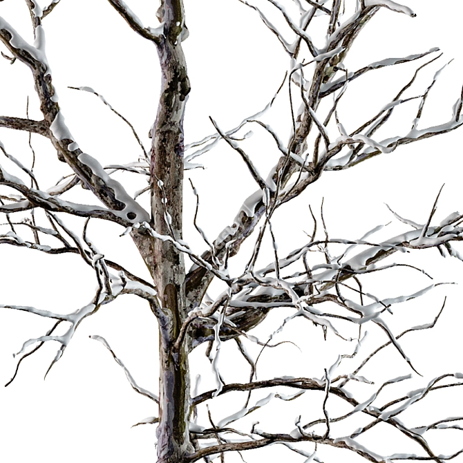 Frozen Beauty - Winter Tree 3D model image 3