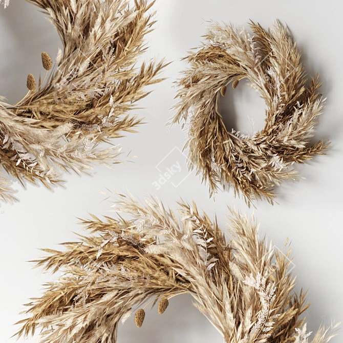 Bohemian Pampas Wall Decor 3D model image 1