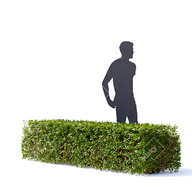 Spirea Hedge - Bendable Birch-leaved Greenery 3D model image 5
