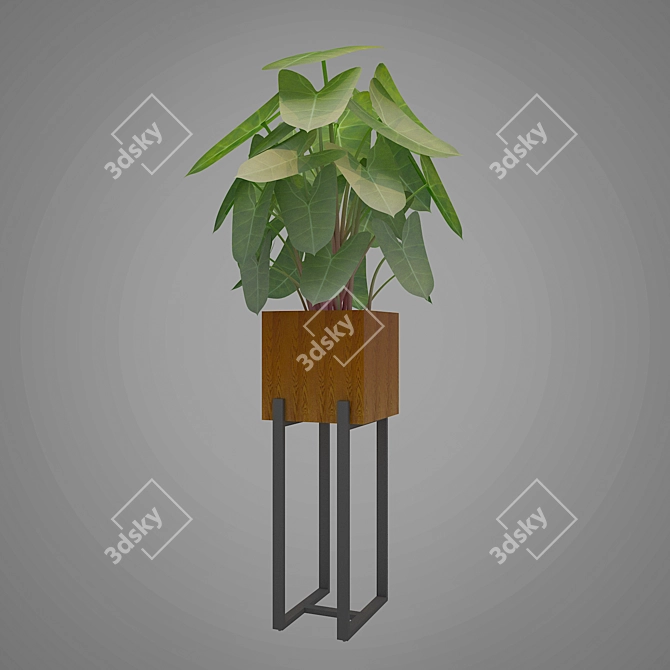 Wooden MS Indoor Planter Box 3D model image 1