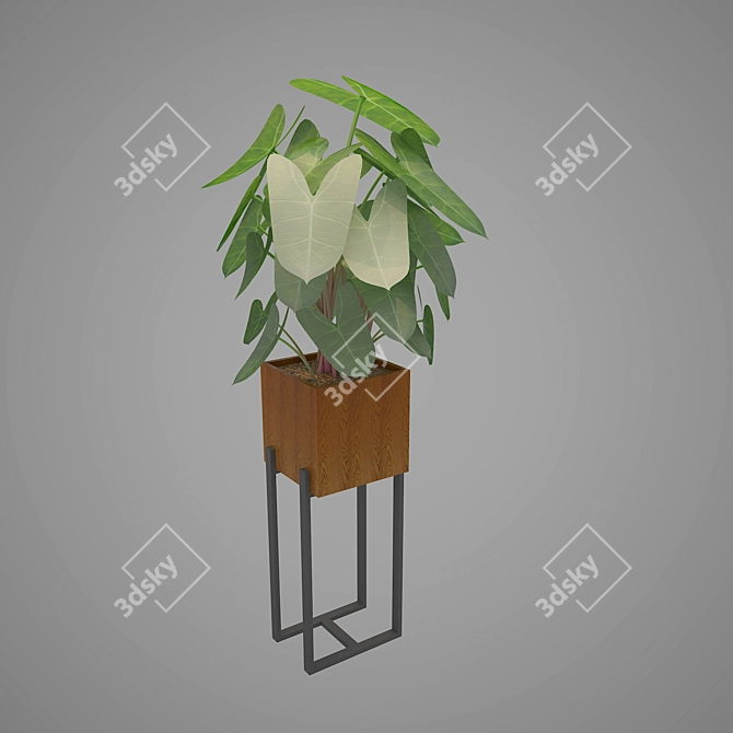 Wooden MS Indoor Planter Box 3D model image 2