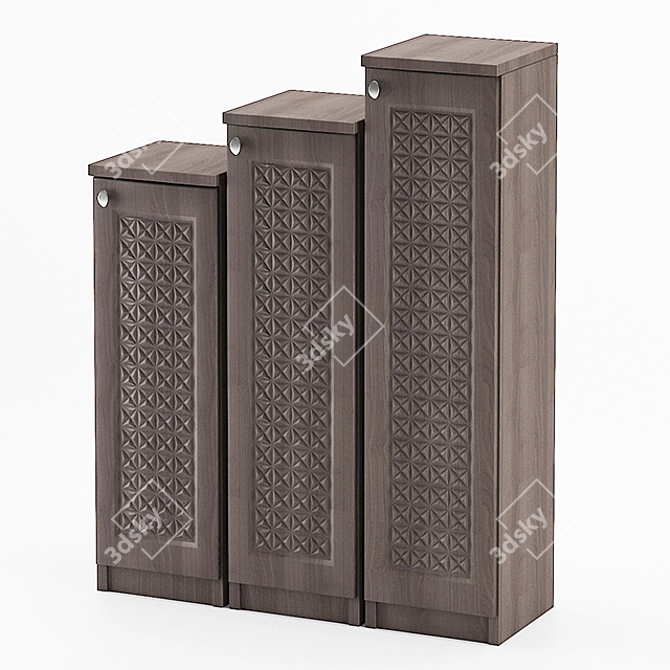 Versatile Shoe Storage Solution 3D model image 1