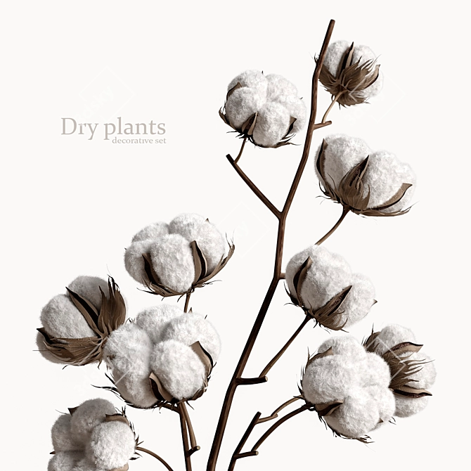 Botanical Bliss: Decorative Dry Plant Set 3D model image 2