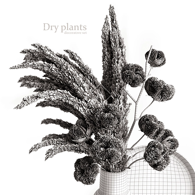Botanical Bliss: Decorative Dry Plant Set 3D model image 4