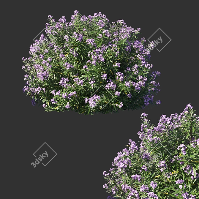 Nerium Oleander Bush: Lush & Lifelike Desk Decor 3D model image 1