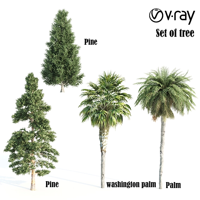 Lush Variety of 12 Vray Trees 3D model image 1