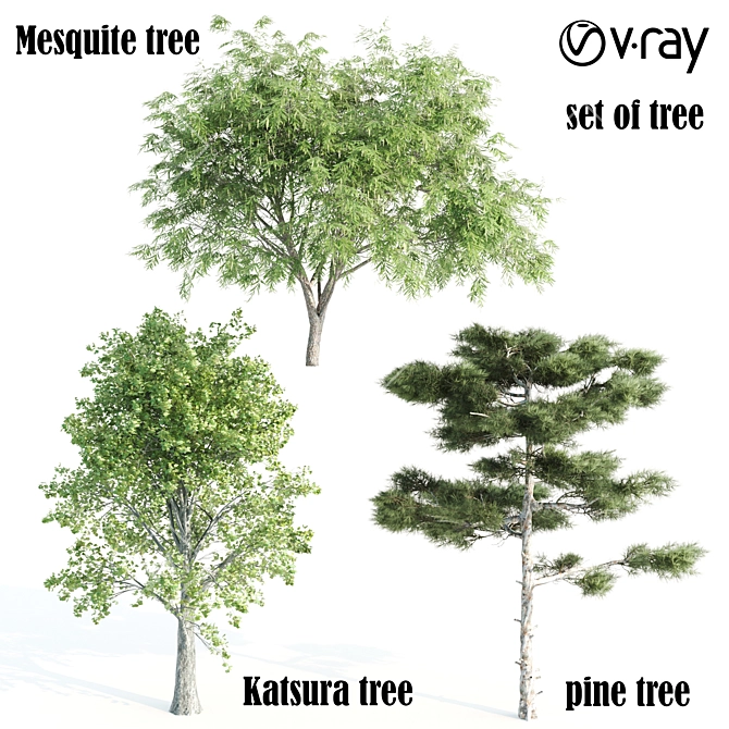 13m Vray Tree Set 3D model image 1