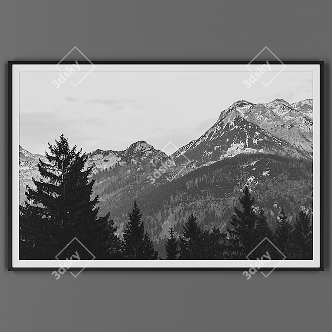 Elegant Black Frame Picture 3D model image 1