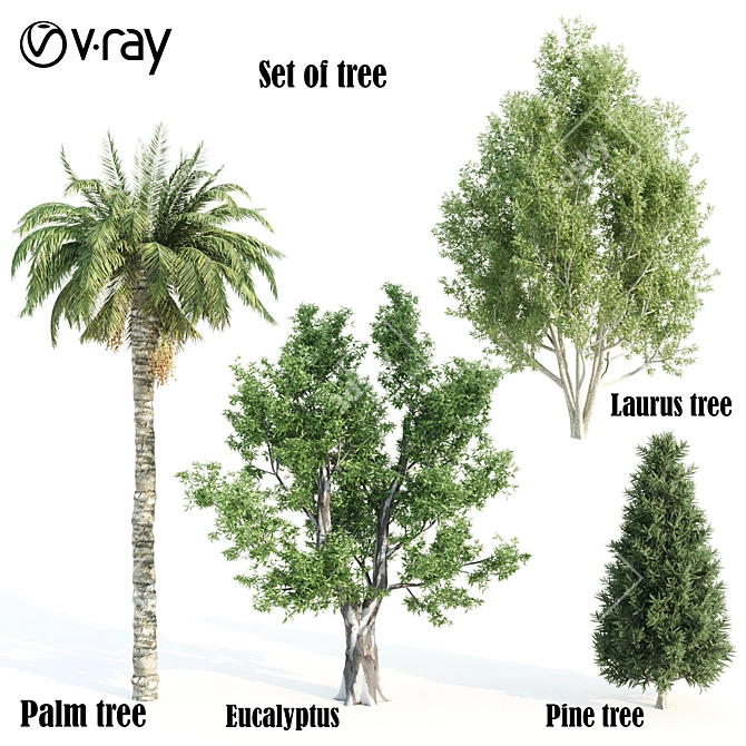 Diverse 11-Tree Set: V-Ray 3D model image 4