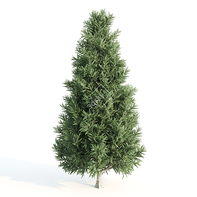 Diverse 11-Tree Set: V-Ray 3D model image 3