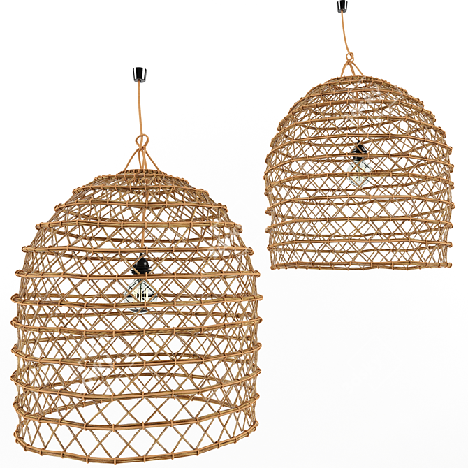 Tunisian Date Palm Rattan Lamp 3D model image 1