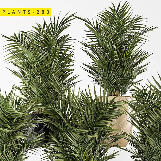 Diverse Plant Collection: 283 Varieties 3D model image 4