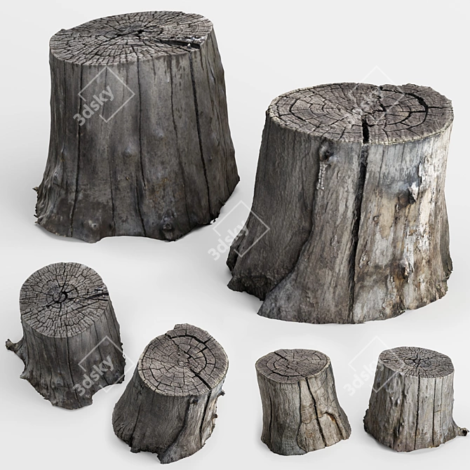 3D Stump Scans: Two Stumps for Photorealistic Rendering 3D model image 1