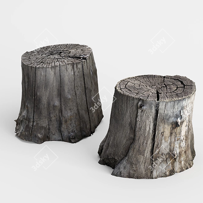 3D Stump Scans: Two Stumps for Photorealistic Rendering 3D model image 3