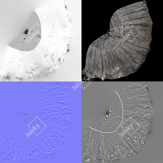 3D Stump Scans: Two Stumps for Photorealistic Rendering 3D model image 5