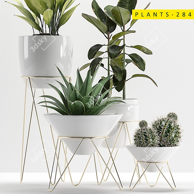 Diverse Plants Collection for 3ds Max 3D model image 2