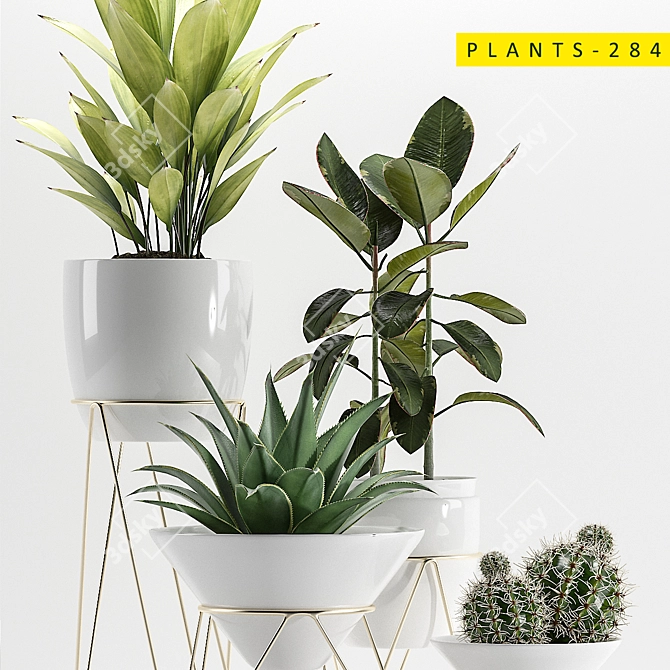 Diverse Plants Collection for 3ds Max 3D model image 3