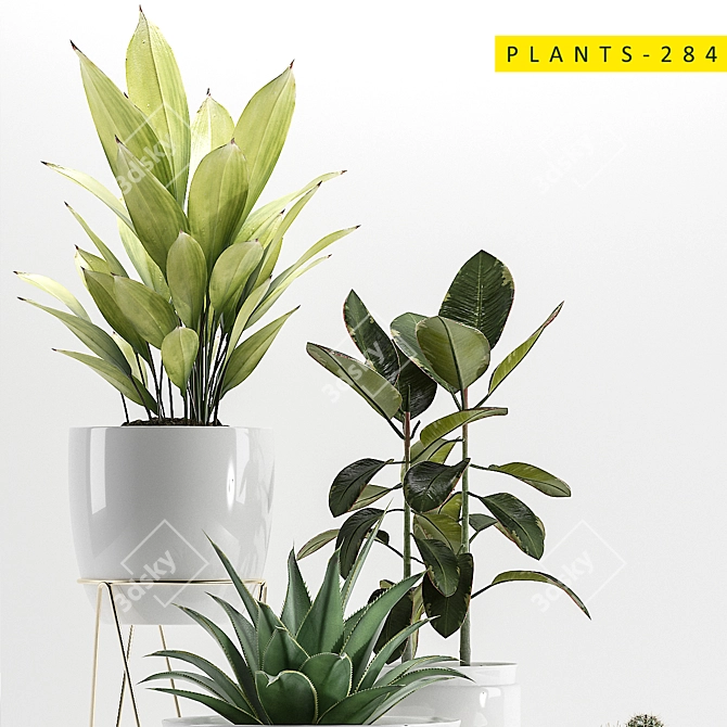 Diverse Plants Collection for 3ds Max 3D model image 4