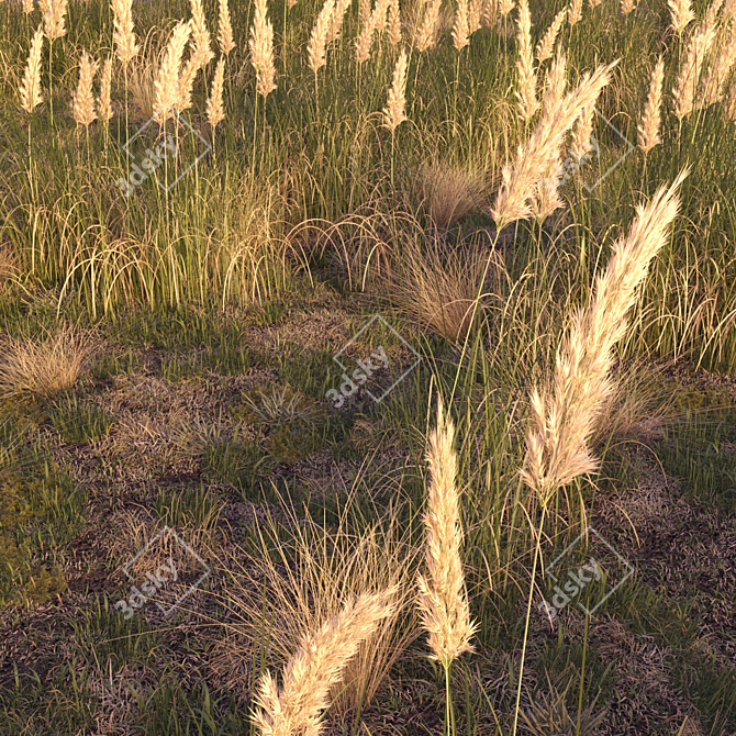 Field Herbs 2: Grass Bliss 3D model image 2