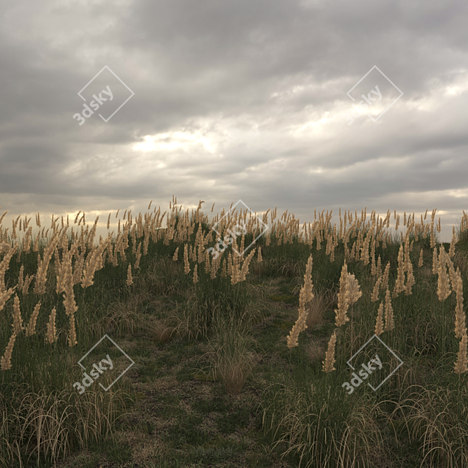 Field Herbs 2: Grass Bliss 3D model image 4