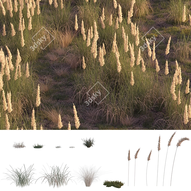 Field Herbs 2: Grass Bliss 3D model image 8