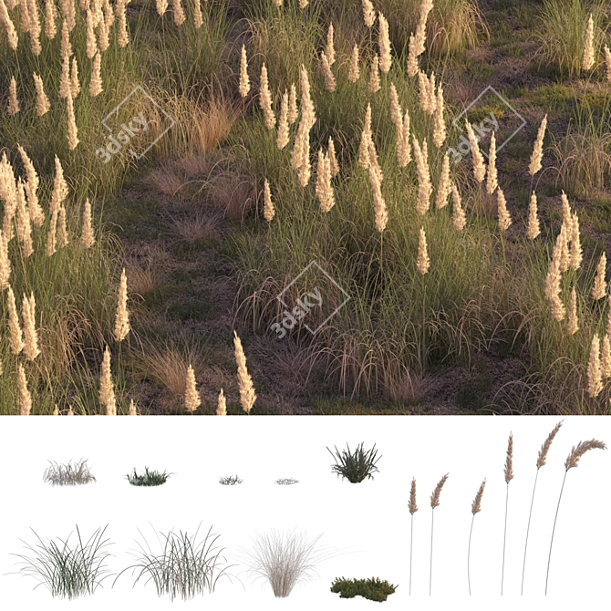 Field Herbs 2: Grass Bliss 3D model image 9