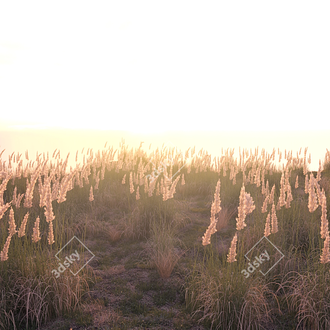 Field Herbs 2: Grass Bliss 3D model image 10