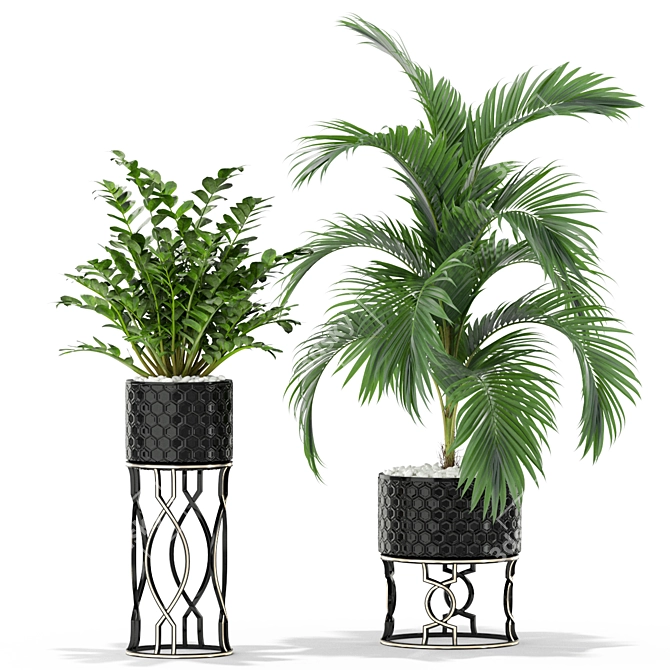 Green Oasis: Stunning Plants Collection 3D model image 2