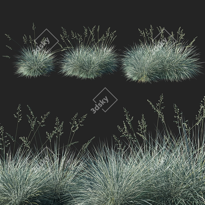 Blue Fescue Grass: Sleek & Versatile 3D model image 1