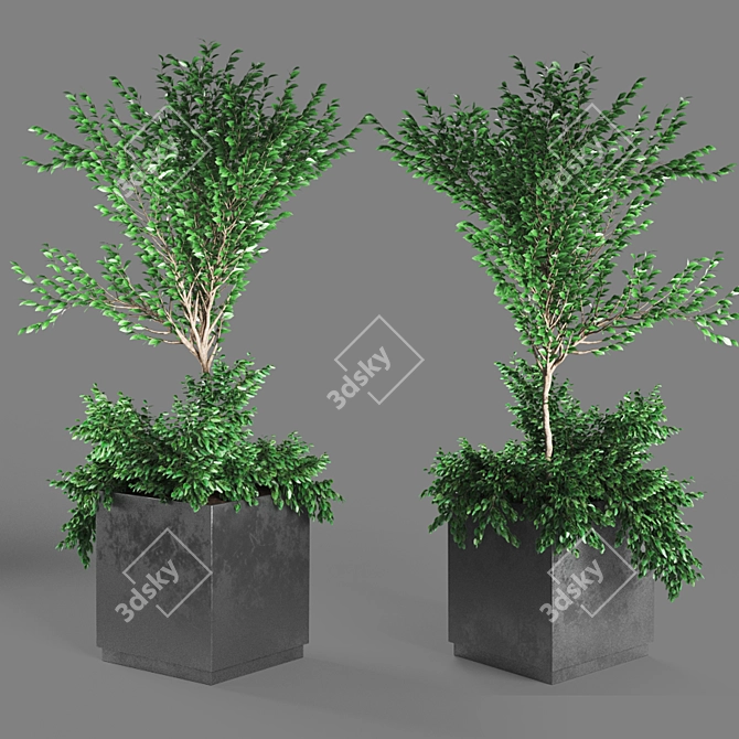 PolyCount Plant112: Unique & Detailed 3D model image 2